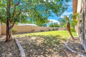 4213 E Edgemont Ave in Phoenix, AZ - Building Photo - Building Photo
