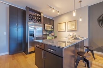 352 N LaSalle St in Chicago, IL - Building Photo - Building Photo