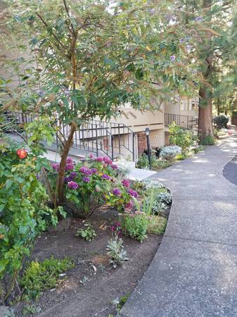 Rochelle Apartments in Portland, OR - Foto de edificio