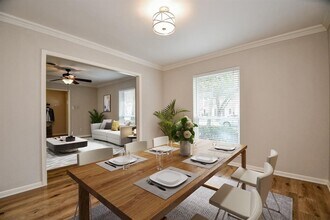10706 Inwood Dr in Houston, TX - Building Photo - Building Photo