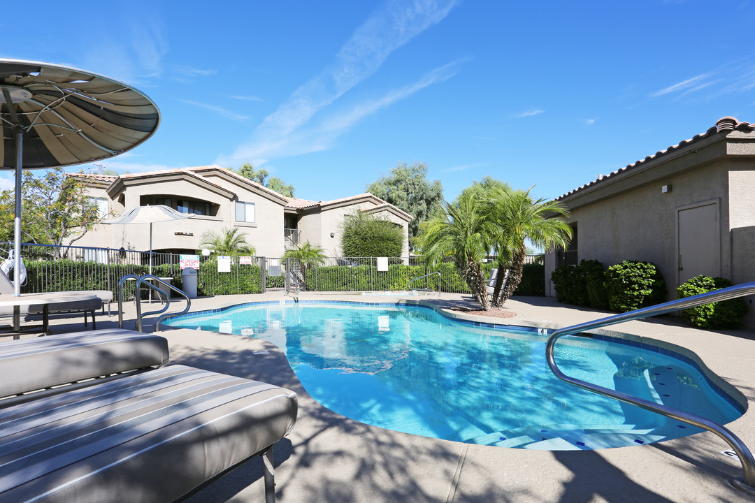 Sun Terrace Apartments in Phoenix, AZ - Building Photo