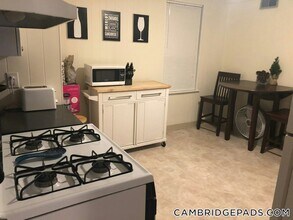 57 Cedar St, Unit 3 in Cambridge, MA - Building Photo - Building Photo