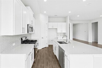 161 Smithsonian Ln in Kyle, TX - Building Photo - Building Photo