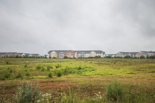 Cherry Blossom Square in Ashburn, VA - Building Photo - Building Photo