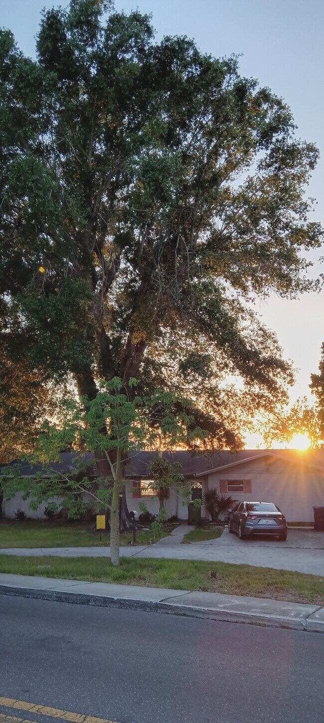 737 Lake Martha Dr NE Rentals in Winter Haven, FL