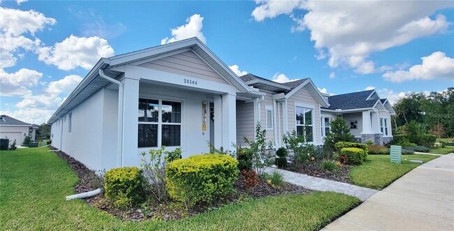 28564 Sweet Persimmon Dr in Wesley Chapel, FL - Building Photo - Building Photo