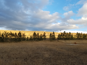 W. W Co Rd 50 in Bellvue, CO - Foto de edificio - Building Photo