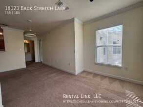 18123 Back Stretch Ln in Tampa, FL - Building Photo - Building Photo