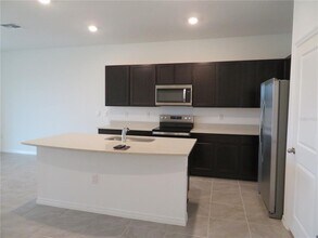 17212 Bigleaf Mahogany Ln in Land O Lakes, FL - Building Photo - Building Photo