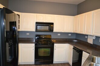 169 Springbrook Trail S in Oswego, IL - Building Photo - Building Photo