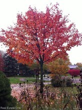 5837 Folkstone Dr in Troy, MI - Building Photo - Building Photo