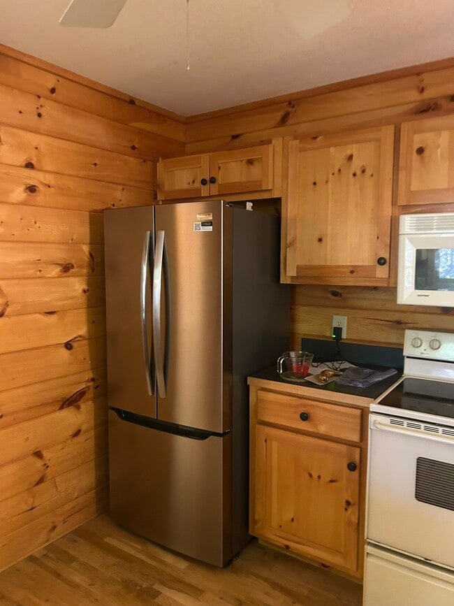 233 Wildwind Ln in Blairsville, GA - Building Photo - Building Photo