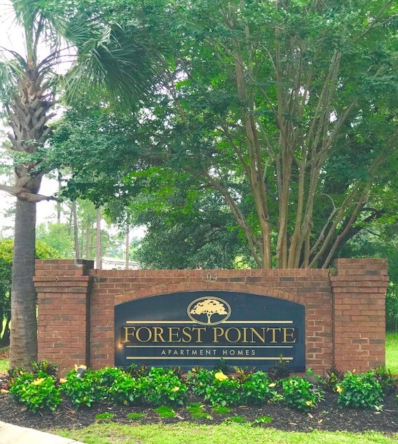 Forest Pointe in Walterboro, SC - Foto de edificio