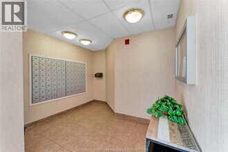 5000 Wyandotte St E in Windsor, ON - Foto de edificio - Building Photo