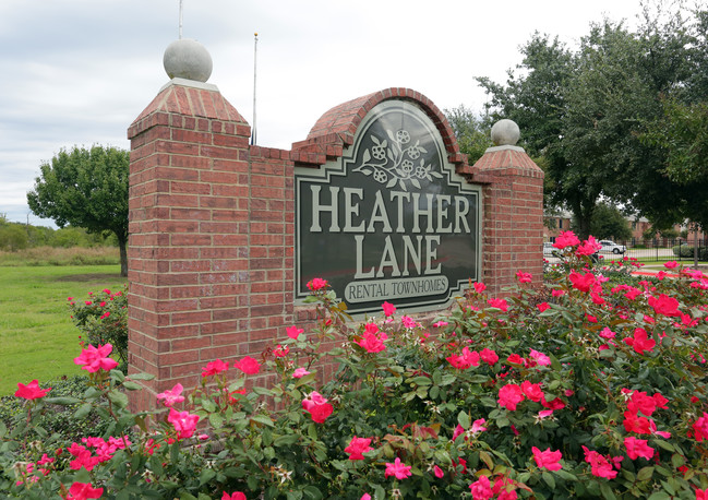 Heather Lane