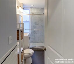 197 Commonwealth Ave, Unit 1 in Boston, MA - Building Photo - Building Photo