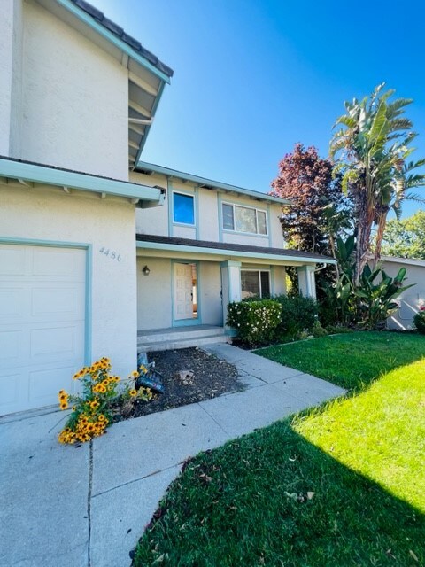 4486 Barberry Ct in Concord, CA - Building Photo