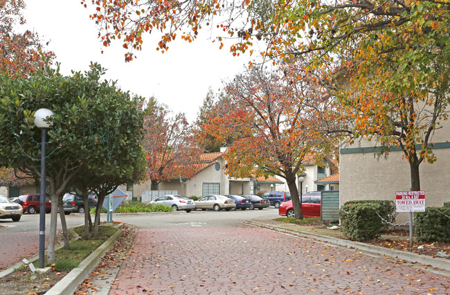 Spinnaker Pointe Apartments in Milpitas, CA - Building Photo - Building Photo