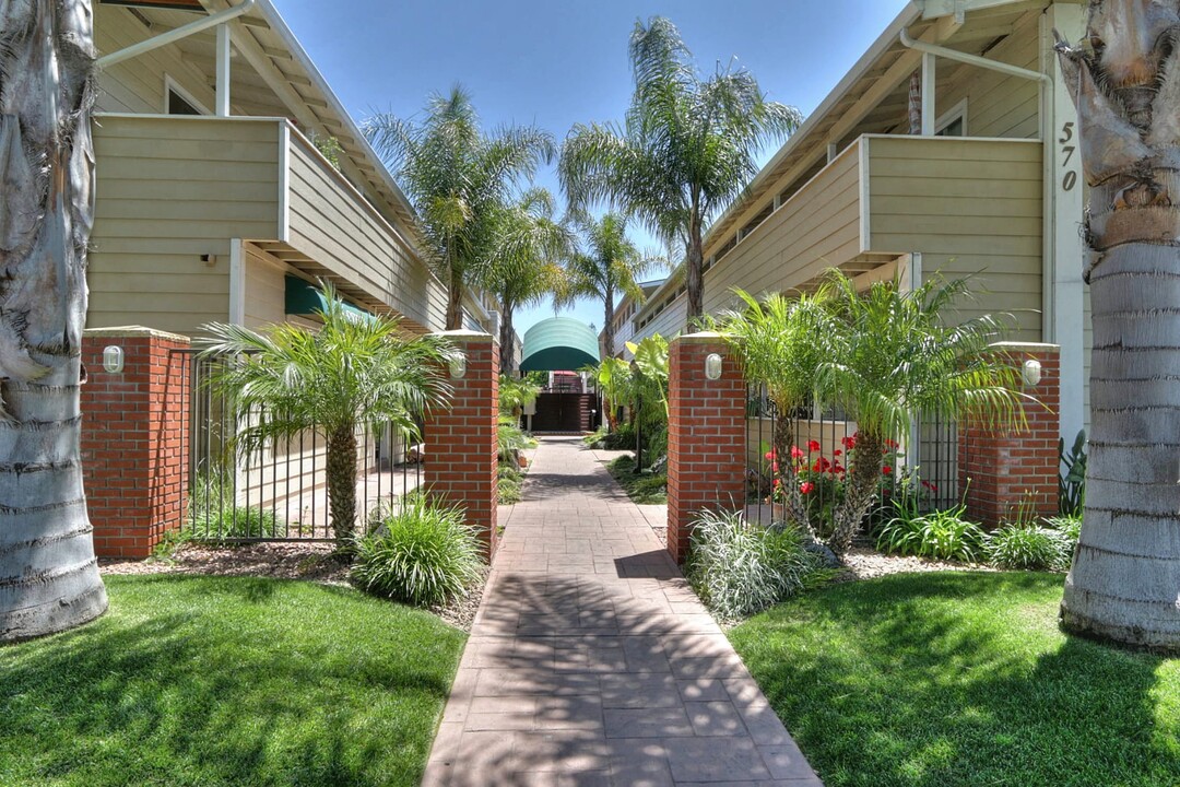 Tamarack Apartments in Los Gatos, CA - Building Photo