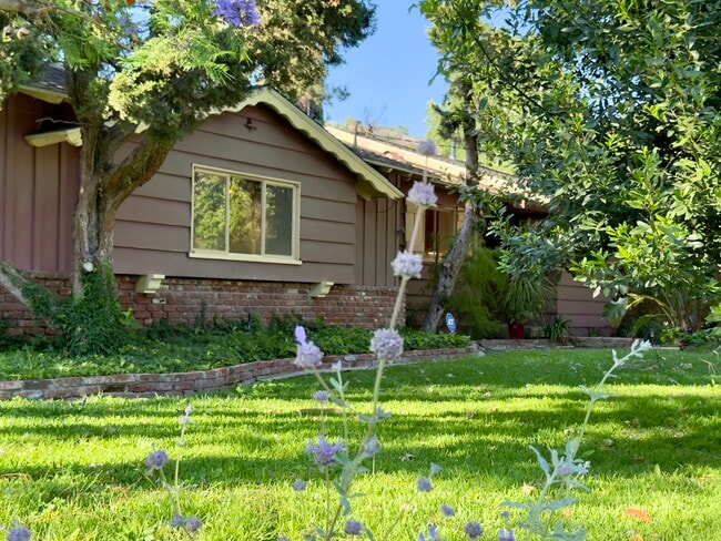 property at 2290 Canonita Dr