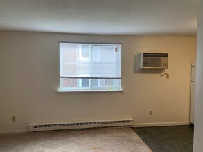 131 Prospect St in Auburn, NY - Building Photo - Building Photo