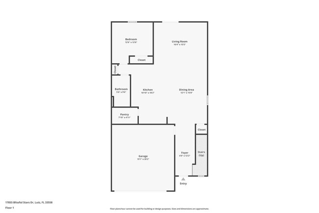 17855 Blissful Stars Dr in Lutz, FL - Building Photo - Building Photo