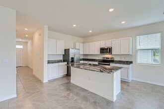 32319 Turtle Grace Lp in Wesley Chapel, FL - Building Photo - Building Photo