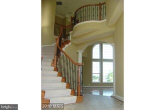 25535 Little Cedar Ct in Chantilly, VA - Building Photo - Building Photo