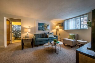 11 Brattle Dr, Unit 2 in Arlington, MA - Building Photo