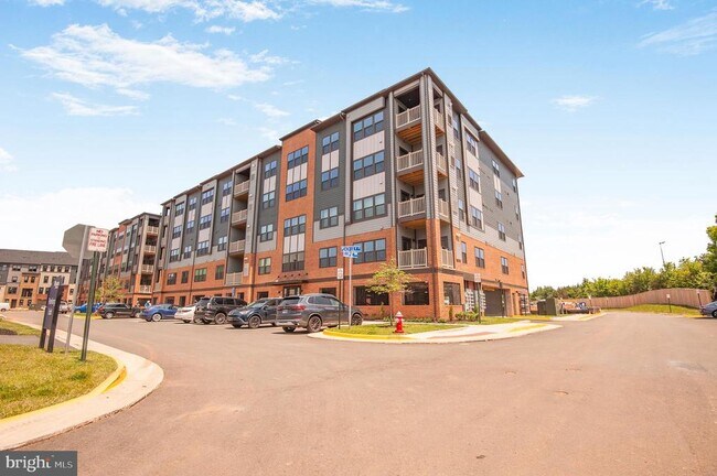 4399 Peach Lily Ln in Chantilly, VA - Building Photo - Building Photo
