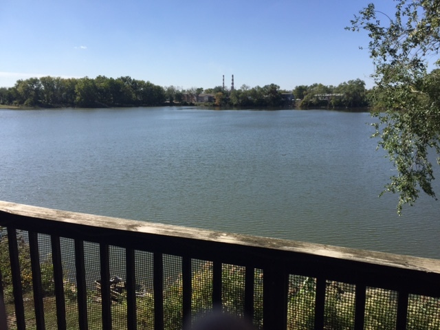 Lakeshore Apartments in Pekin, IL - Foto de edificio - Building Photo