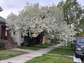 3114 N Long Ave in Chicago, IL - Building Photo - Building Photo