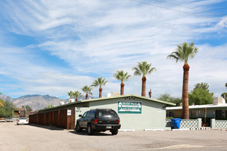 Desert palms in Tucson, AZ - Building Photo - Building Photo