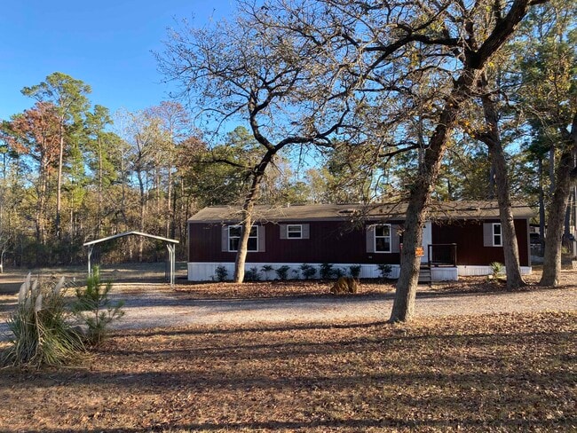 177 Pine Hill Loop in Bastrop, TX - Building Photo - Building Photo