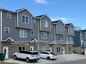 162 Christian Ct in Hurricane, WV - Building Photo