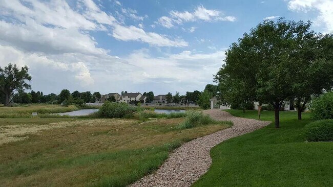 2002 Tonopas Ct in Loveland, CO - Building Photo - Building Photo