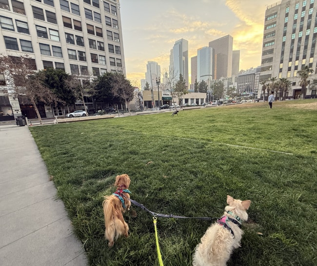 property at 108 W 2nd St