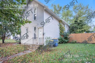 733 Livingston Ave NE in Grand Rapids, MI - Building Photo