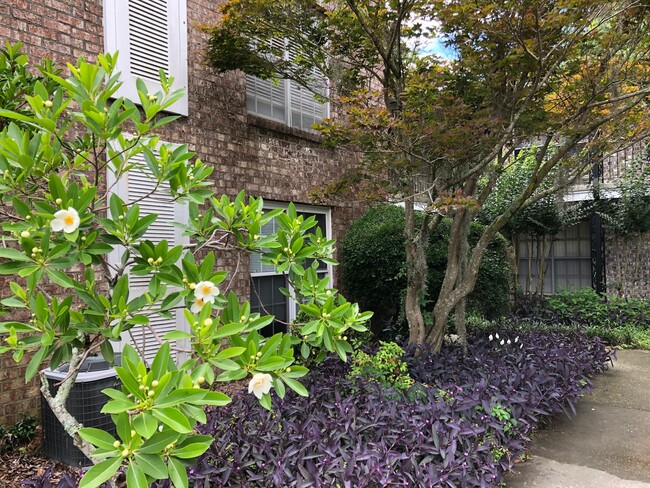 811 Colony Dr, Unit E 71 in Charleston, SC - Foto de edificio - Building Photo