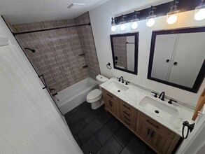 1033 Lakeview Ct in Little Elm, TX - Building Photo - Building Photo