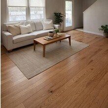 2 Whalen Ln in Natick, MA - Building Photo - Building Photo