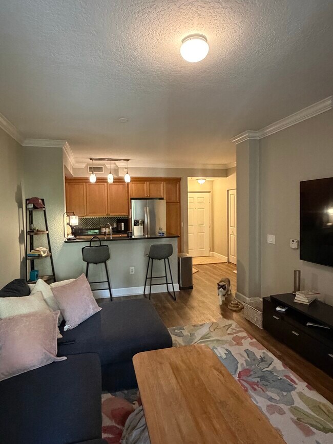 4202 Renaissance Way, Unit 4202 Renaissance Way in Boynton Beach, FL - Foto de edificio - Building Photo