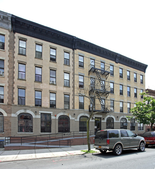 444-448 Lexington Ave in Brooklyn, NY - Building Photo