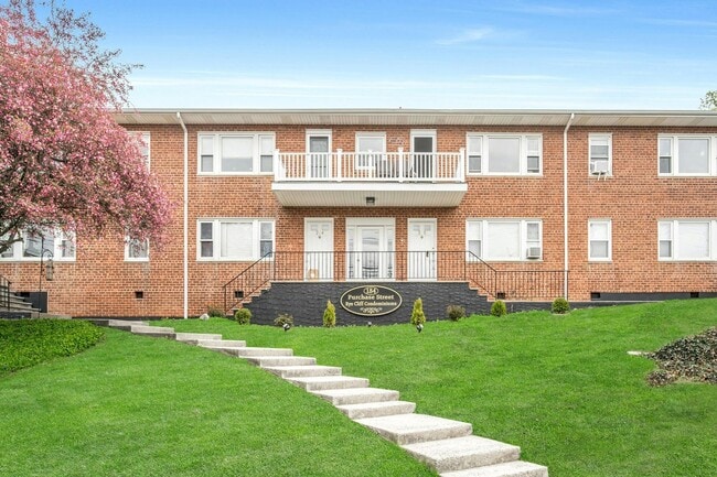 property at 184 Purchase St