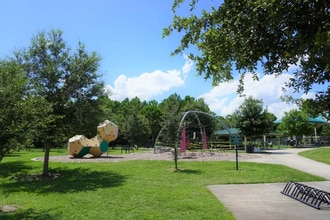 14451 Bluebird Park Rd in Windermere, FL - Building Photo - Building Photo