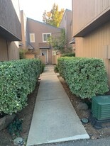 3901 Clayton Rd in Concord, CA - Building Photo