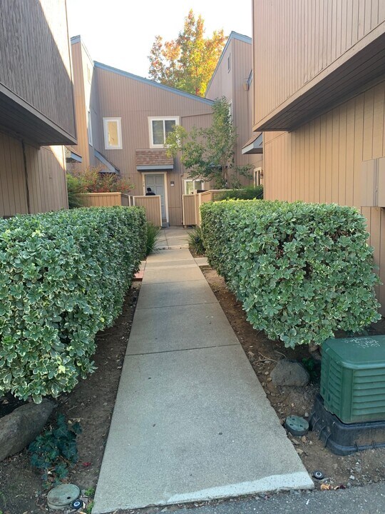 3901 Clayton Rd in Concord, CA - Building Photo