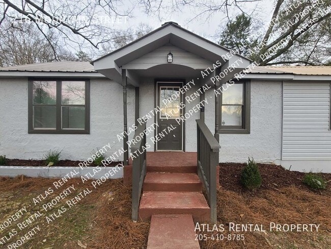 property at 216 Mountain St