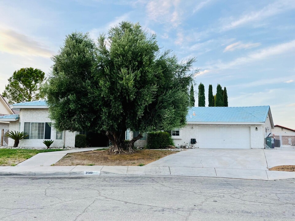 2503 Brentwood Dr in Lancaster, CA - Building Photo