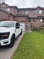 141 Black Cherry Crescent in Barrie, ON - Building Photo